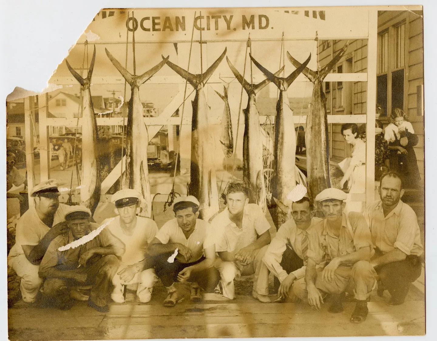 Billfishing, Ocean CIty, Maryland, History, Sportfishing, OCMD
