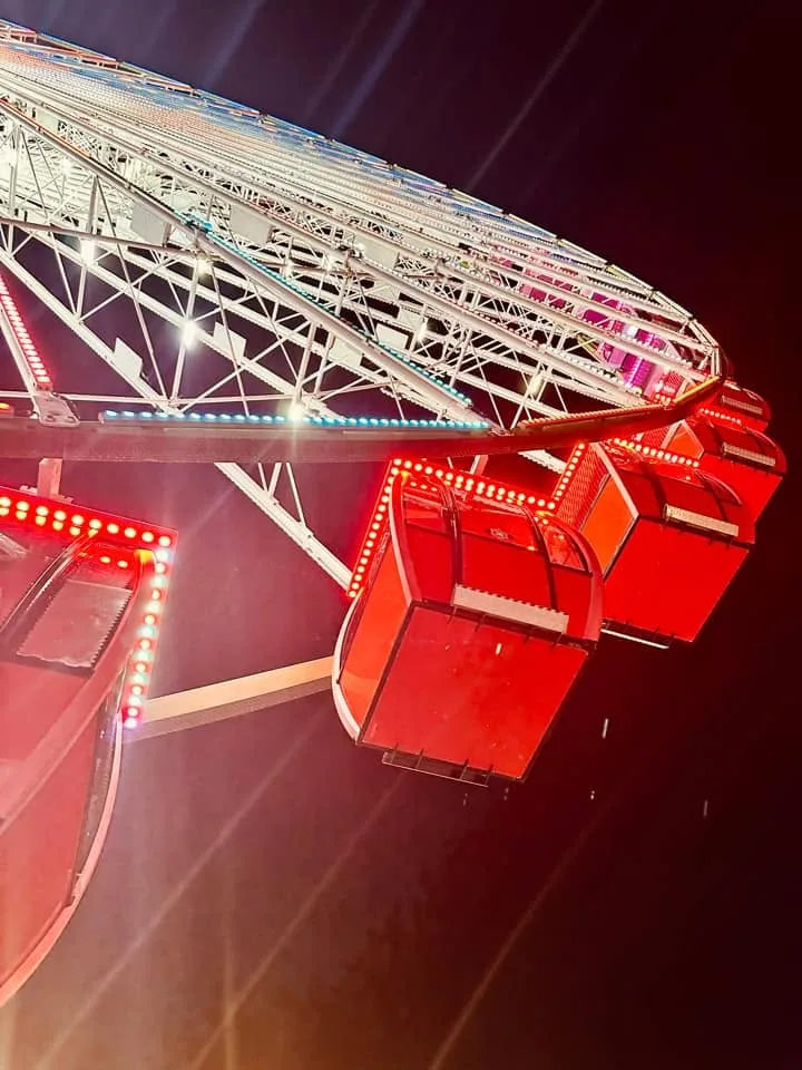 
Diana Dudzinski - The big wheel from below