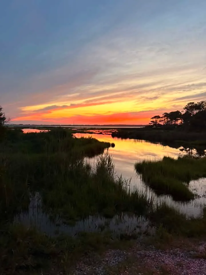 Michael Smith - July 12th, Assateague Island on our nightly wildlife viewing trip.
