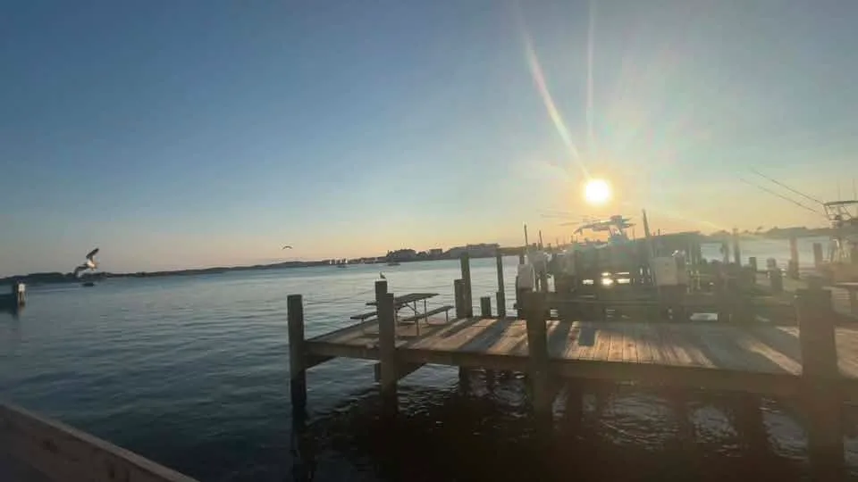 
Mekala Tomlin - Dinner view 