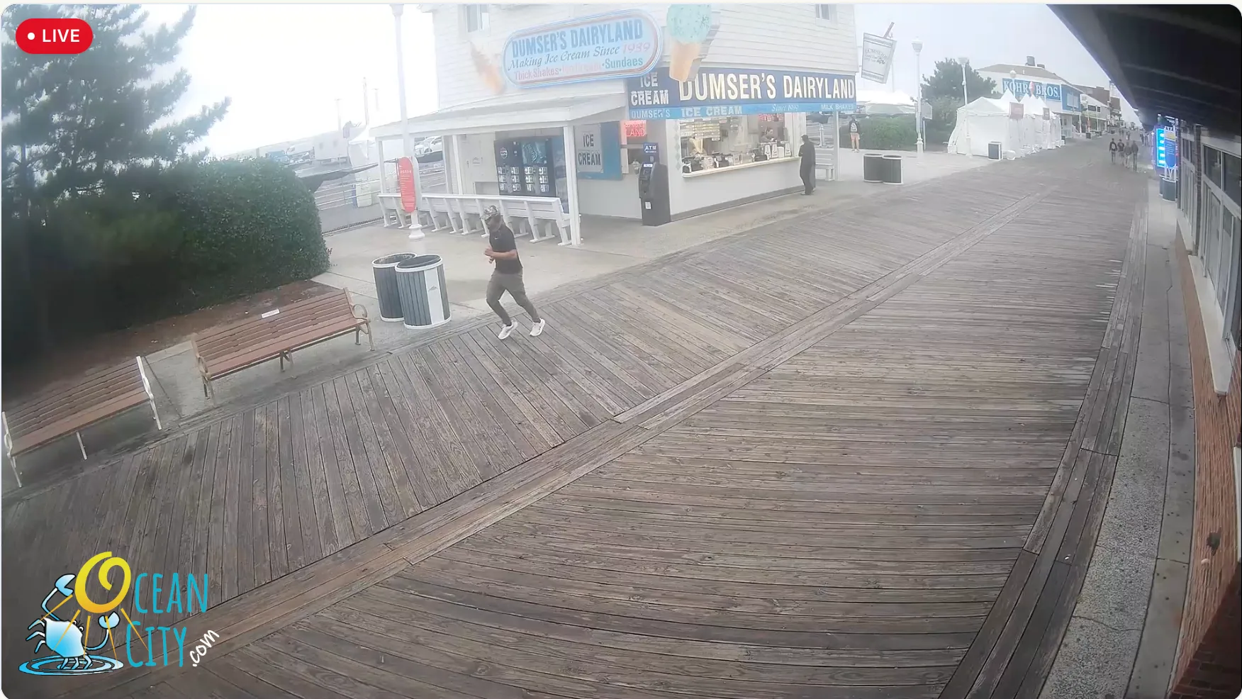 Boardwalk Cam dough roller and dumsers
