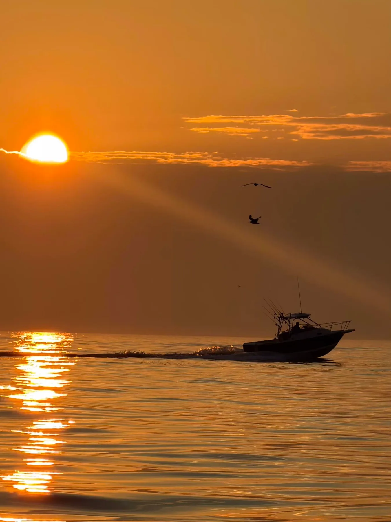 Joyce Hepburn
A͏u͏g͏u͏s͏t͏ ͏2͏8͏ ͏a͏t͏ ͏1͏0͏:͏1͏8͏ ͏A͏M͏
  ·

Heading out of OC in the boat to go fishing.