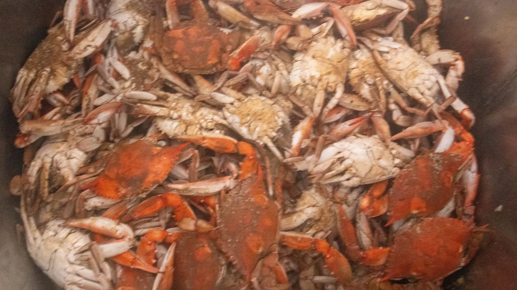 Hoopers will provide steamed crabs with additional VIP tickets.