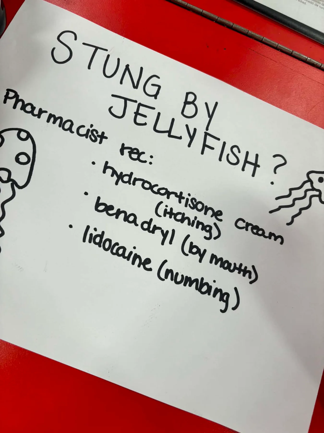A local CVS created a special display with creams, sprays, and Benadryl.