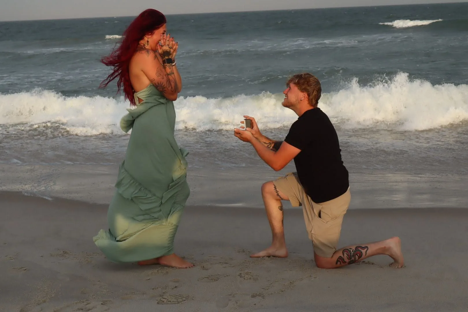 Dannon Matulevich Assateague Island proposal 