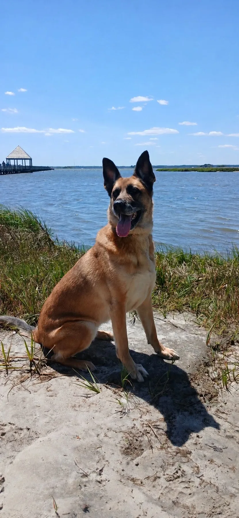 
Michele Goodman - My girl Siren enjoying beautiful weather at Northside Park!!