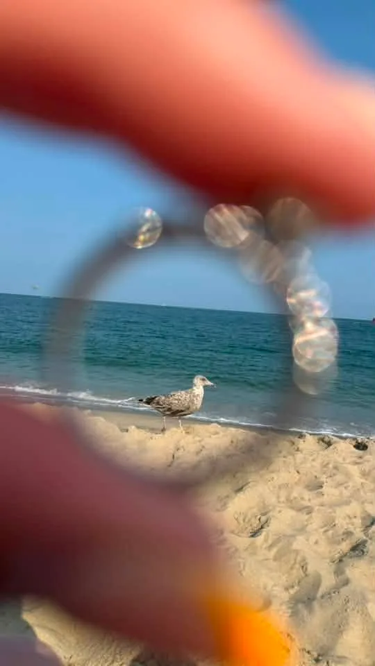 Elyssa Plaza - My engagement ring with a seagull in the middle! This was just taken on Tuesday (8/11)❤️❤️💍