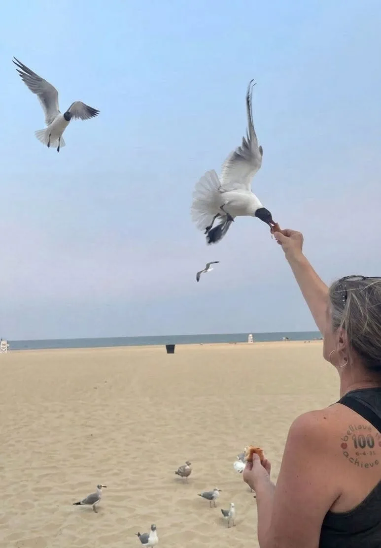 Kathy Naugle - Seagulls lovin' Doughroller pizza!