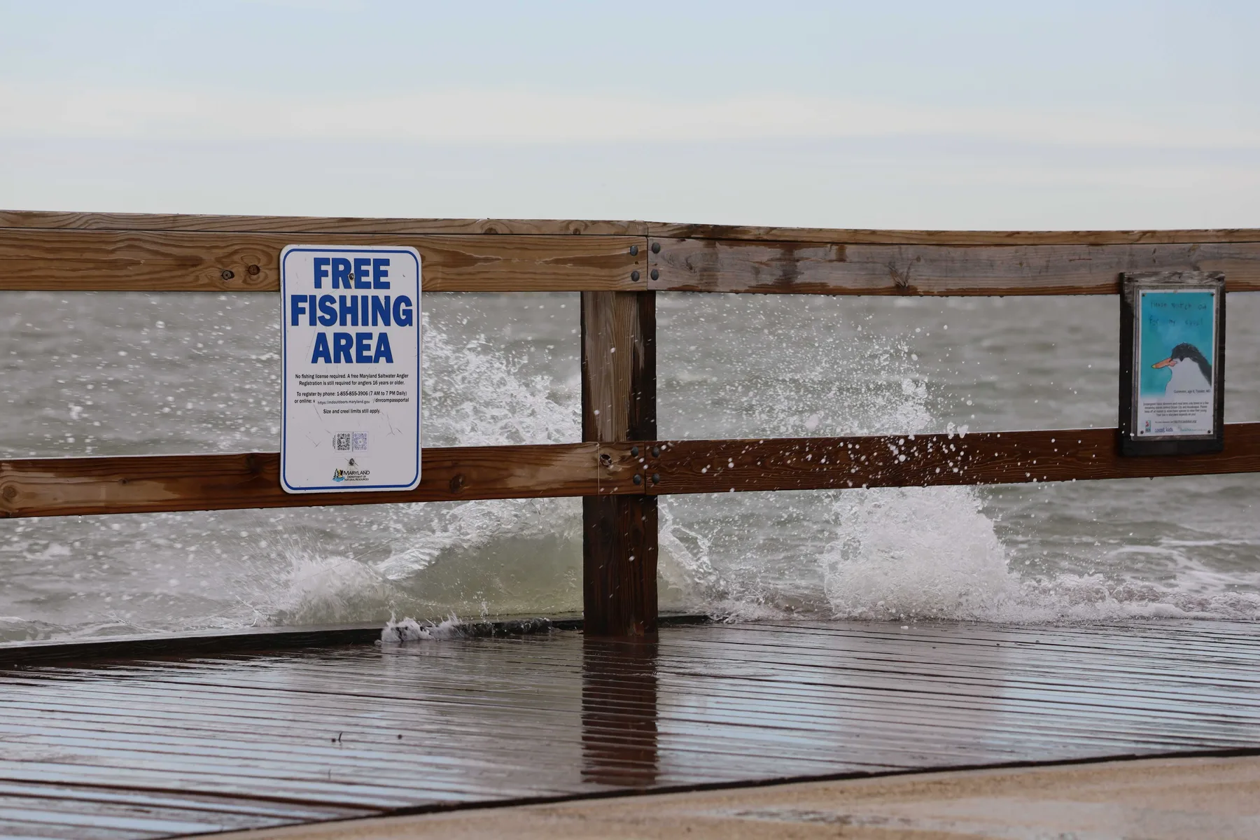 Free fishing area on the bayside