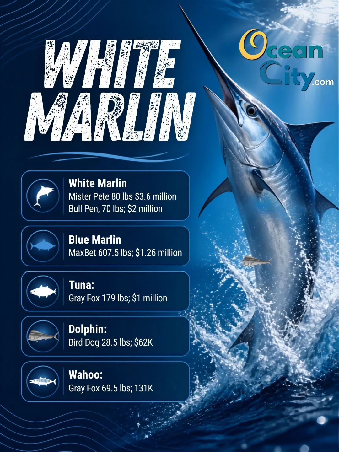 White Marlin Open Leaderboard - as of Friday morning 8-7-26