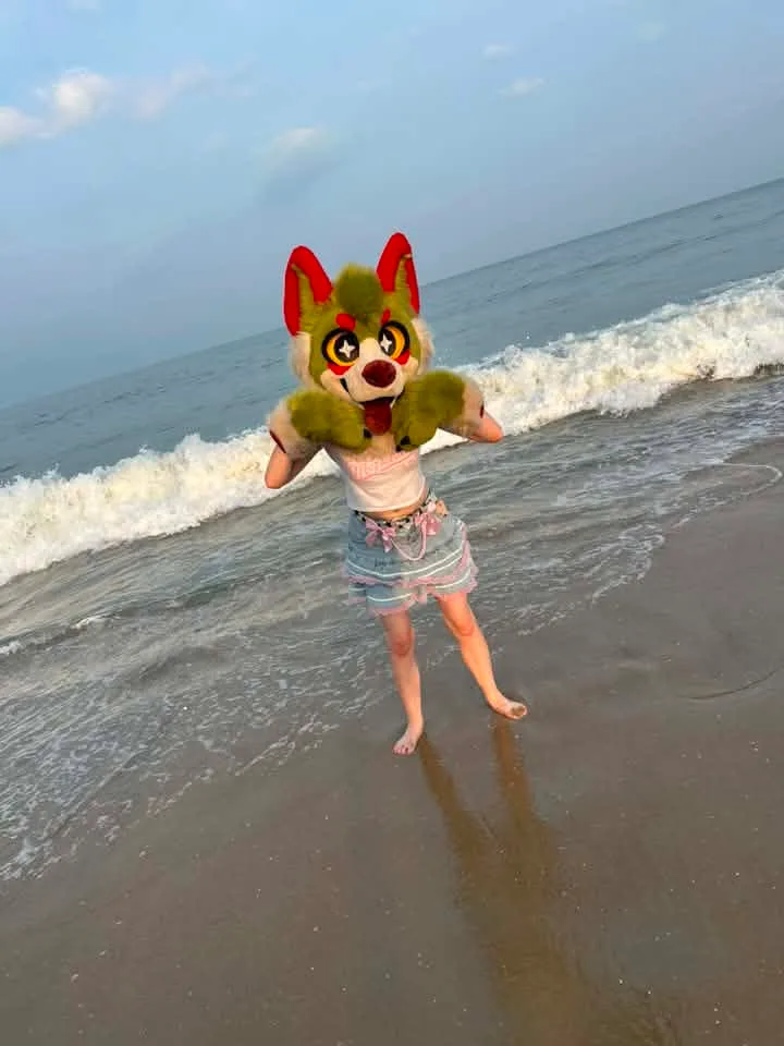 Trent Moore - Me at the beach in my fursuit!