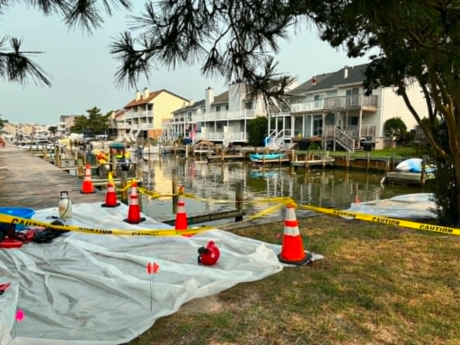 The 94th Street canal was taped off while crews began to clean up hundreds of dead horseshoe crabs in Ocean City, Maryland.