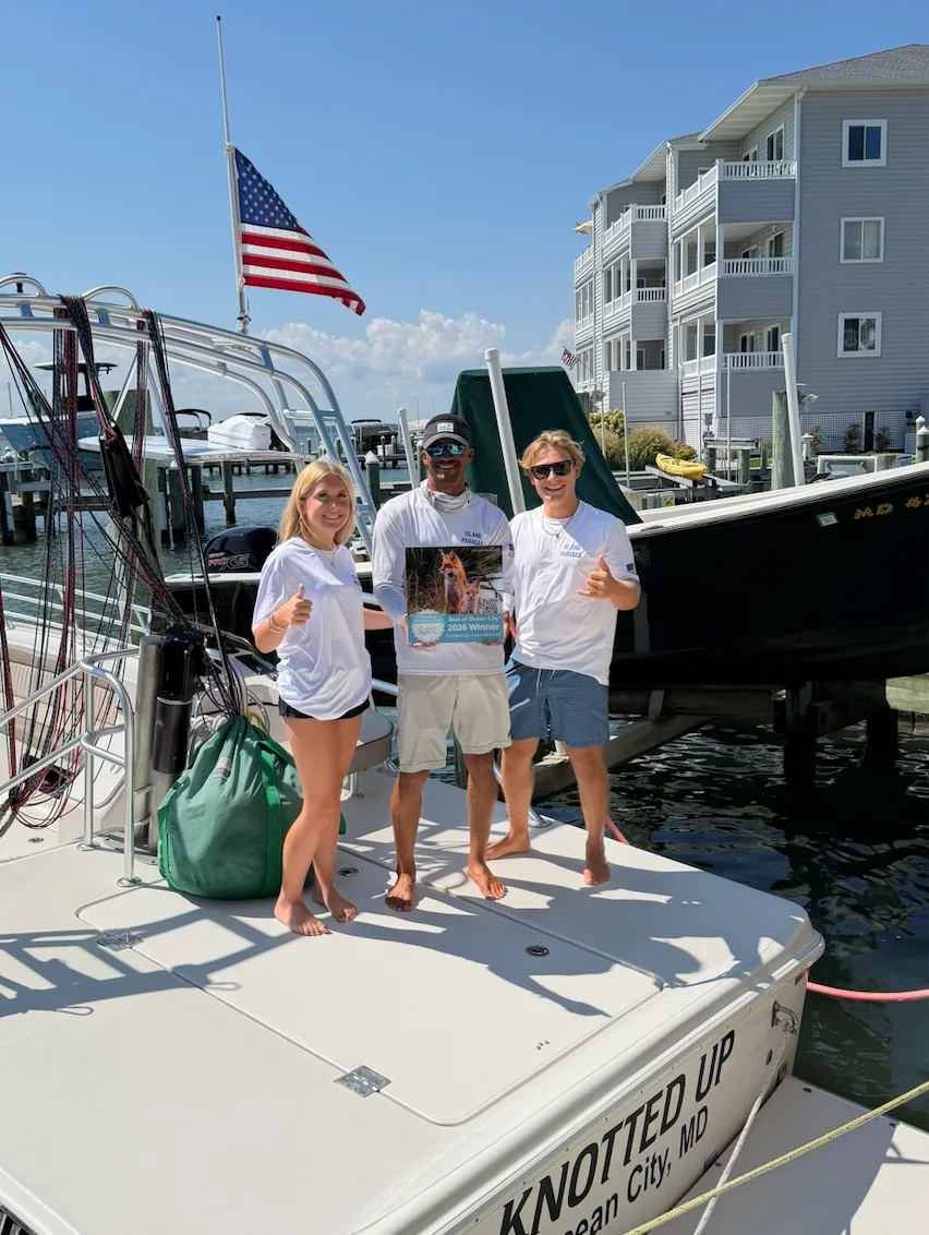 Island Parasail - Best Parasailing - Editorial Pick