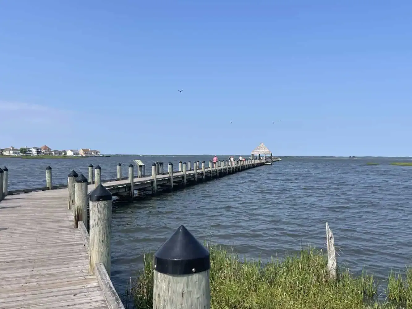 Northside Park Ocean City Md