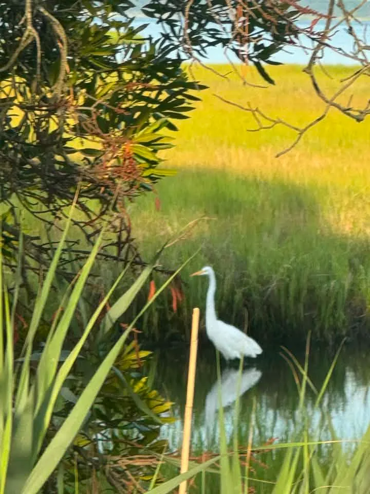 Nancy McJilton Mackin - Peaceful morning in Northside Park.