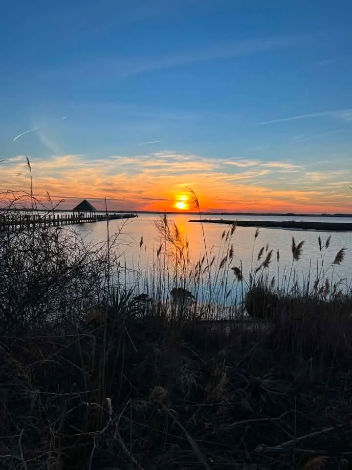 Keith Remaly - Northside Park looking out at the Bay and Pier.