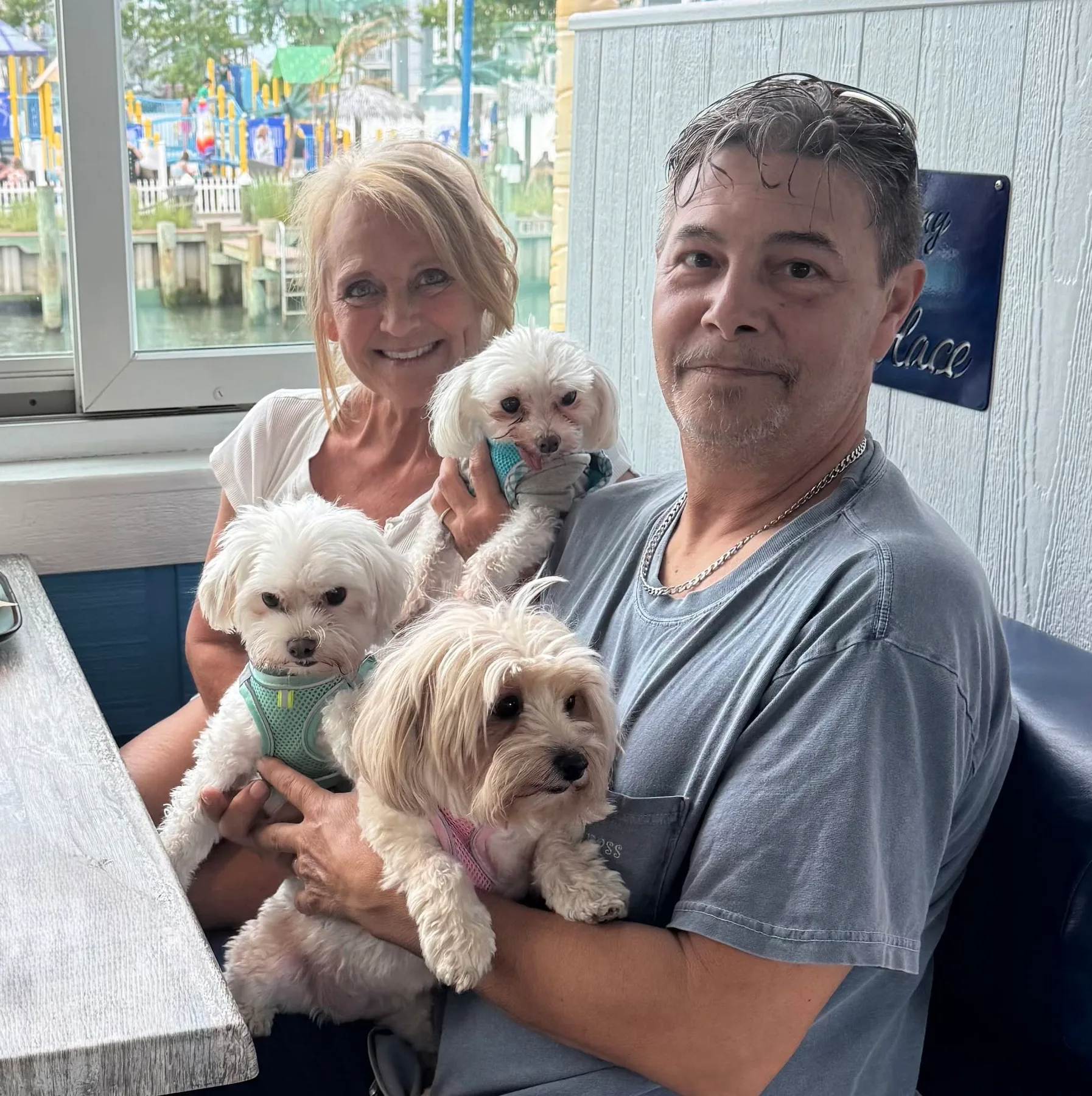 couple with dogs in restaurant in ocmd