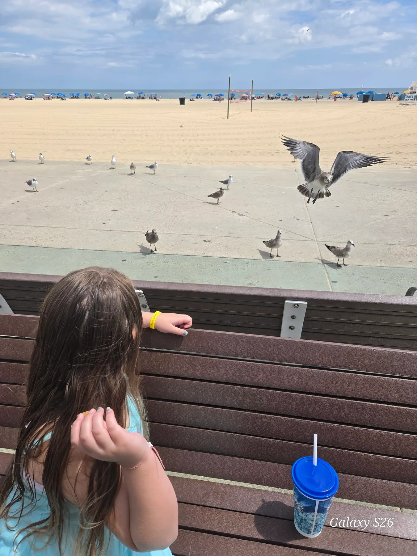 Tina Windell - Feeding the seagulls Thrashers fries