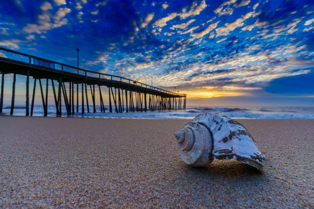 A seashell sits on the sand in the foreground of the Ocean City, Maryland pier.