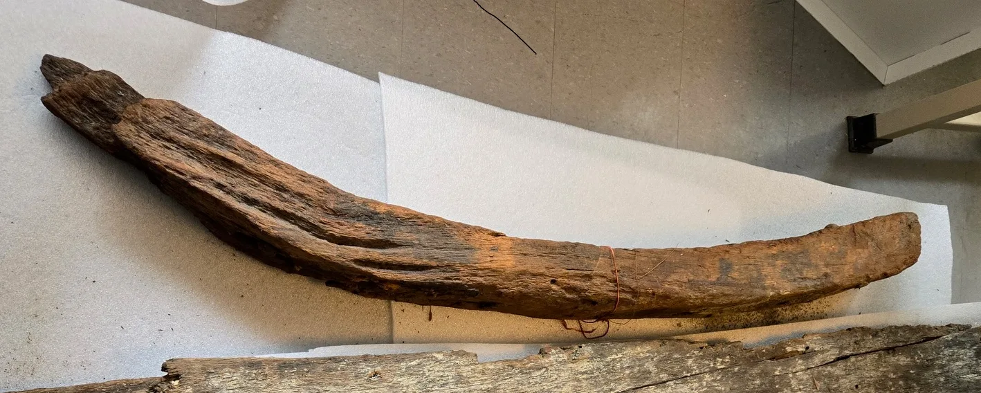 Pieces of a Maryland shipwreck from the 1700s in the Nanticoke River