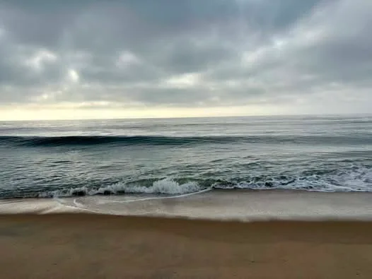 Alliē Cat
  ·
Calm before the storm 🌊