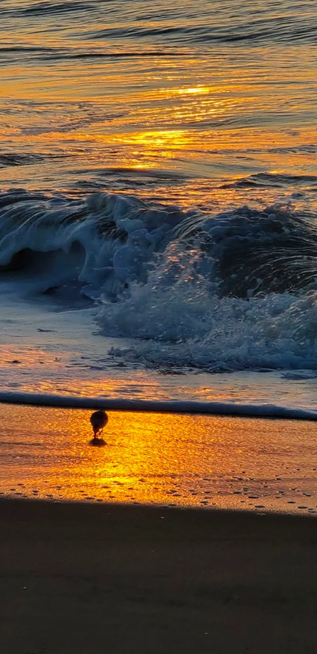 Justine Hunia - My family has vacationed here for over 20 years. sunrise mcmd
