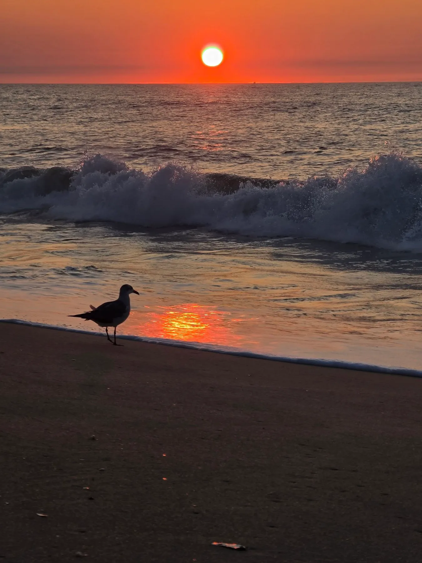 sunrise over beach in ocmd