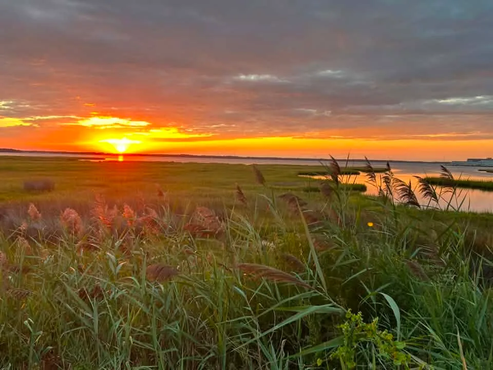 Lindsay Pangborn - Sunset view from Ropewalk. One of our favorite spots to watch the sun sink down