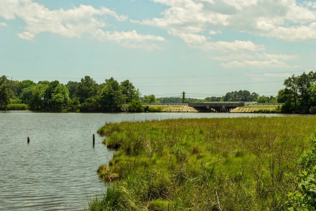 The view from the Ayers Creek Adventures kayak launch site.
