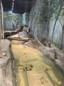 A shot of the exhibit from the side. Featuring the hand-crafted log. 