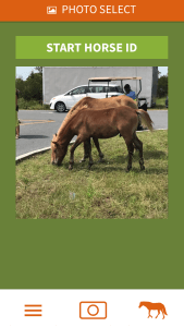 Horse app