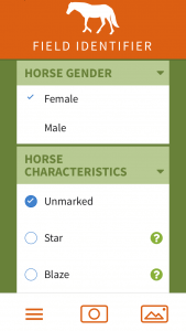 Horse app 