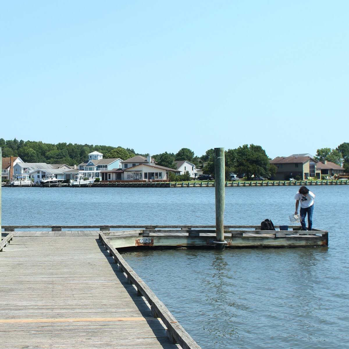Crabbing on pier