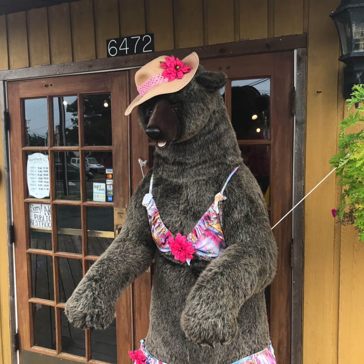 Bear sculpture