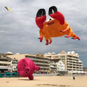 Kites