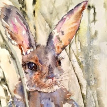 Art by Kathy Bohs