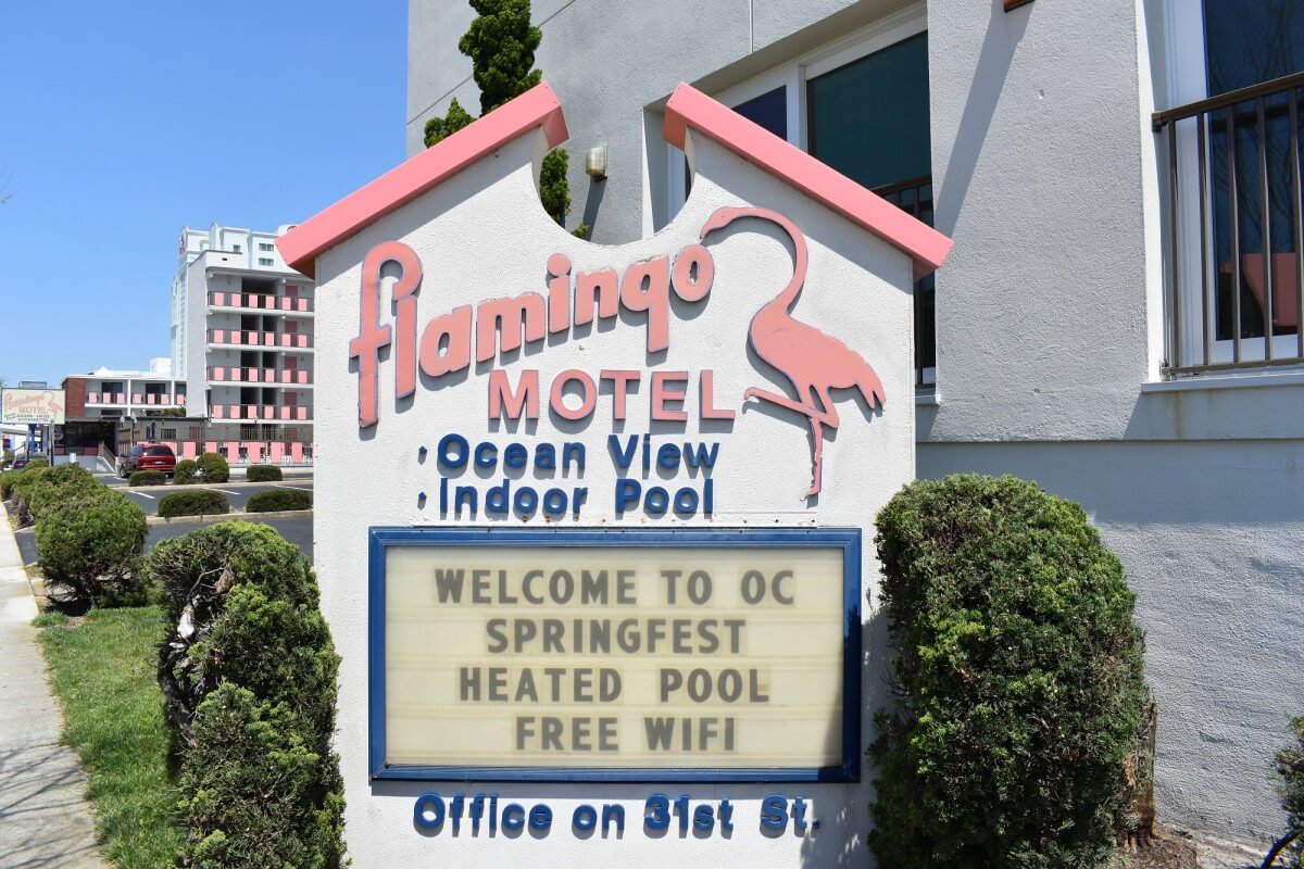Flamingo Motel