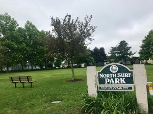 North Surf Park 
