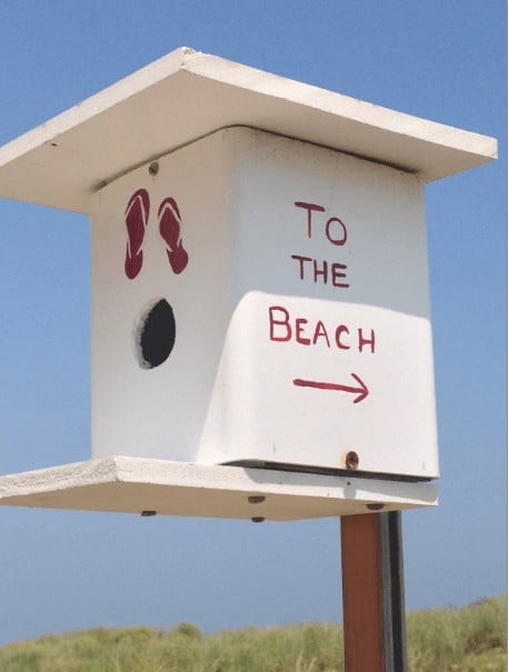 bird house