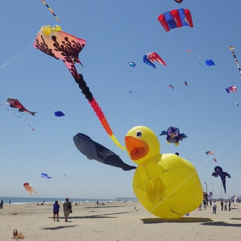 Colorful kites will fill the sky this weekend during the annual Sunfest Kite Festival, hosted by the Kite Loft, on the Boardwalk and beach at Sixth Street.
