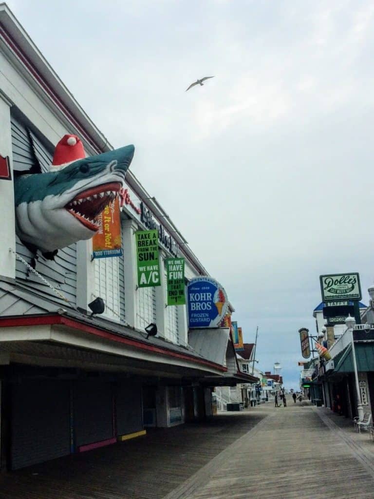Ripley's Shark