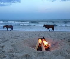 Camping