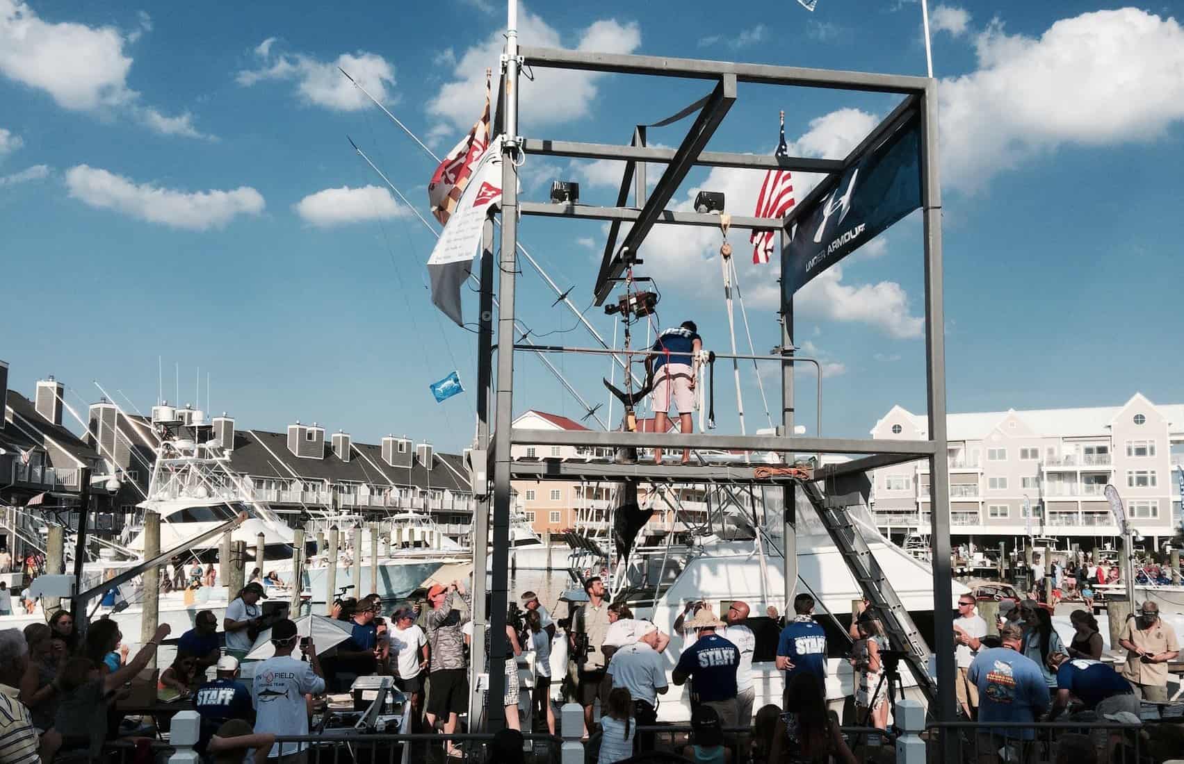 The White Marlin Open <br/>8/5-8/10, 2024