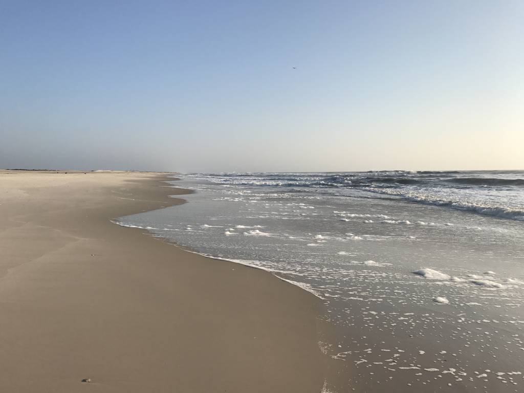 Assateague Island