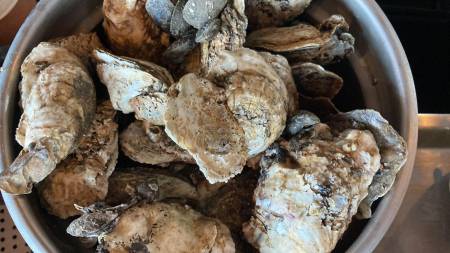 Harrison's Harbor Watch- Winner of Best of Ocean City®- Raw Bar