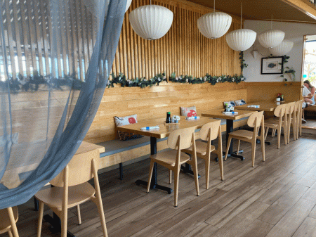 Blue Fish in Ocean City, Maryland