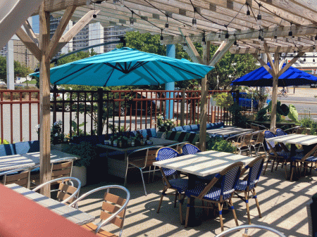 Blue Fish in Ocean City, Maryland