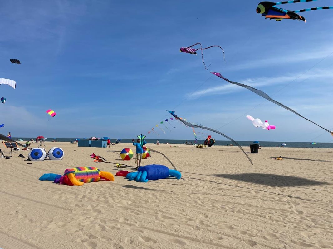 kites