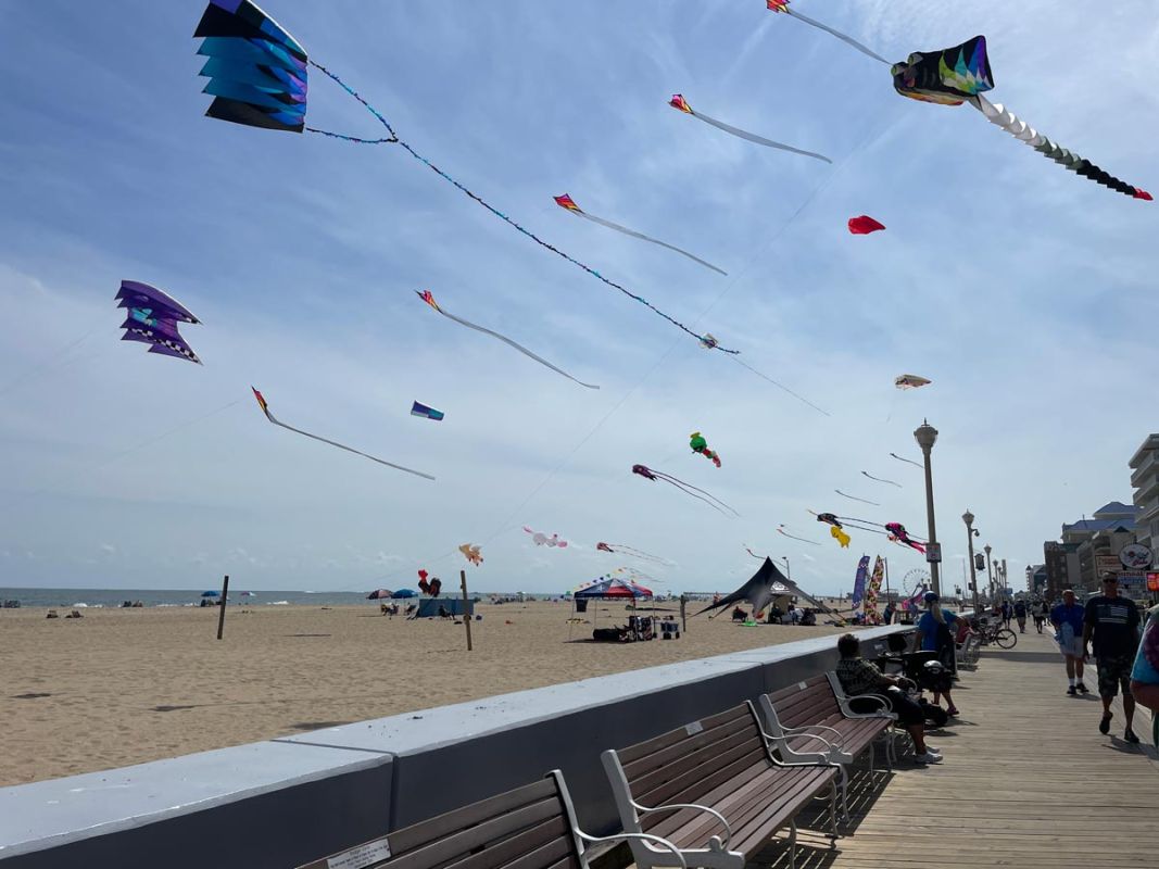 Boardwalk