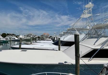 wmo sunset marina white marlin open